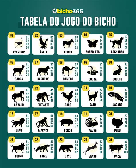 números do grupo do jogo do bicho - número do gato no bicho